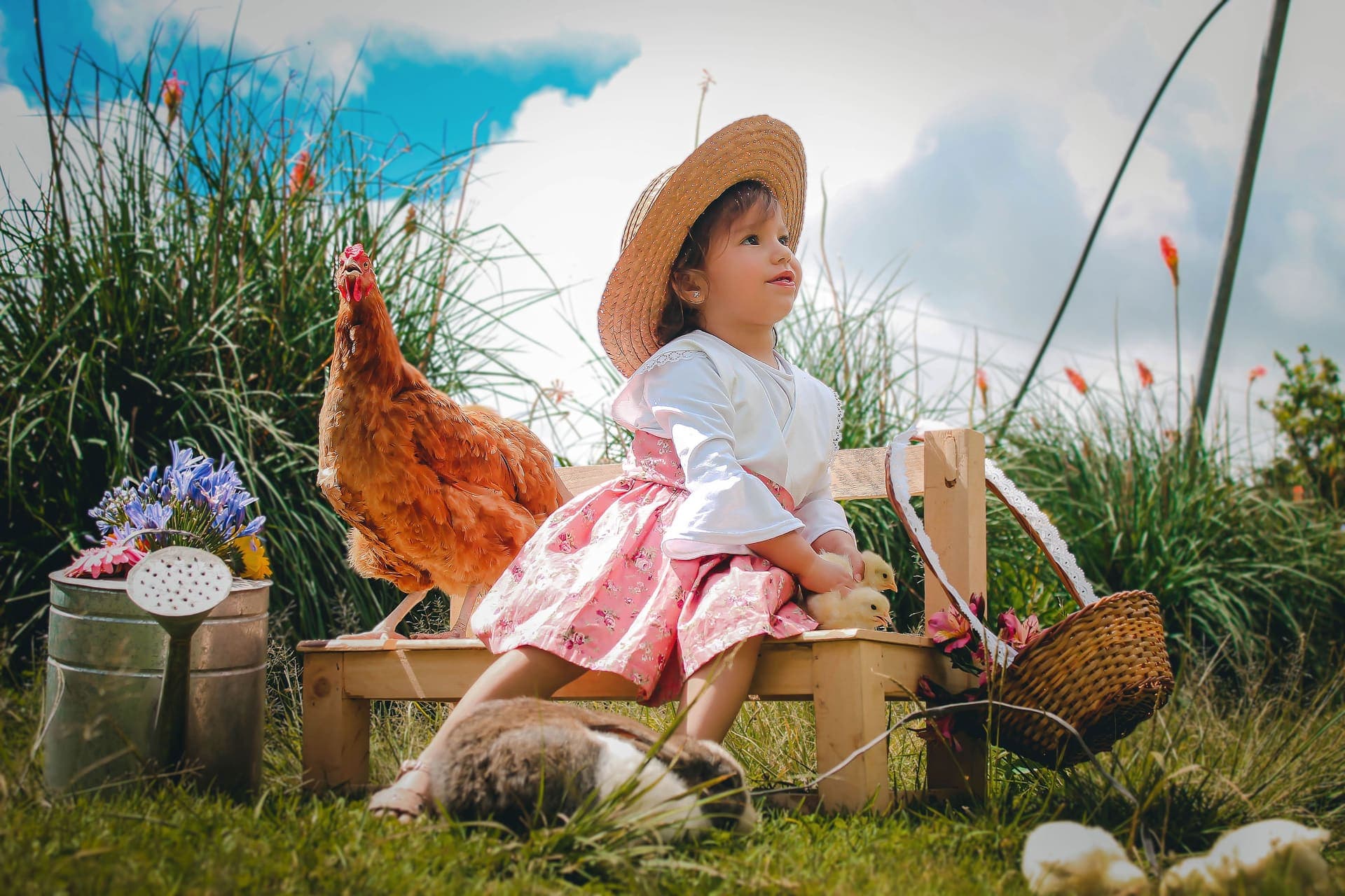 Escena de campo con niña y gallina en la granja