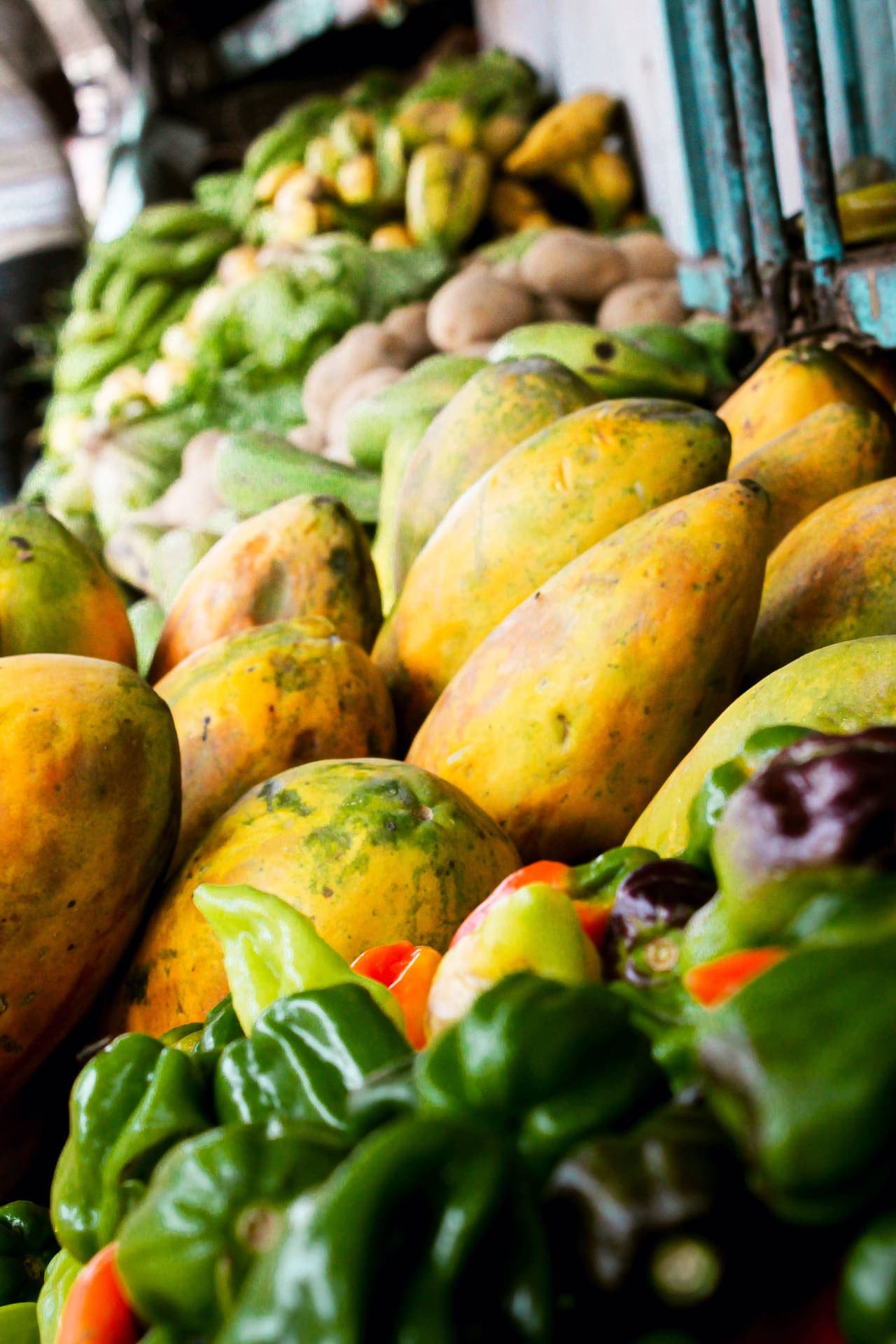 Lechosas apiladas en el mercado mayorista
