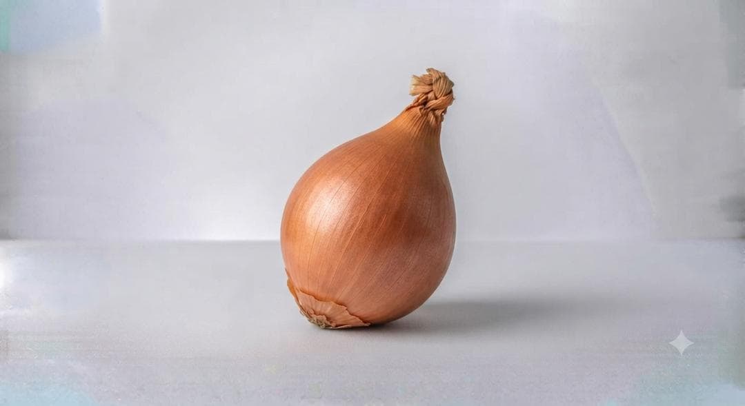 Cebolla