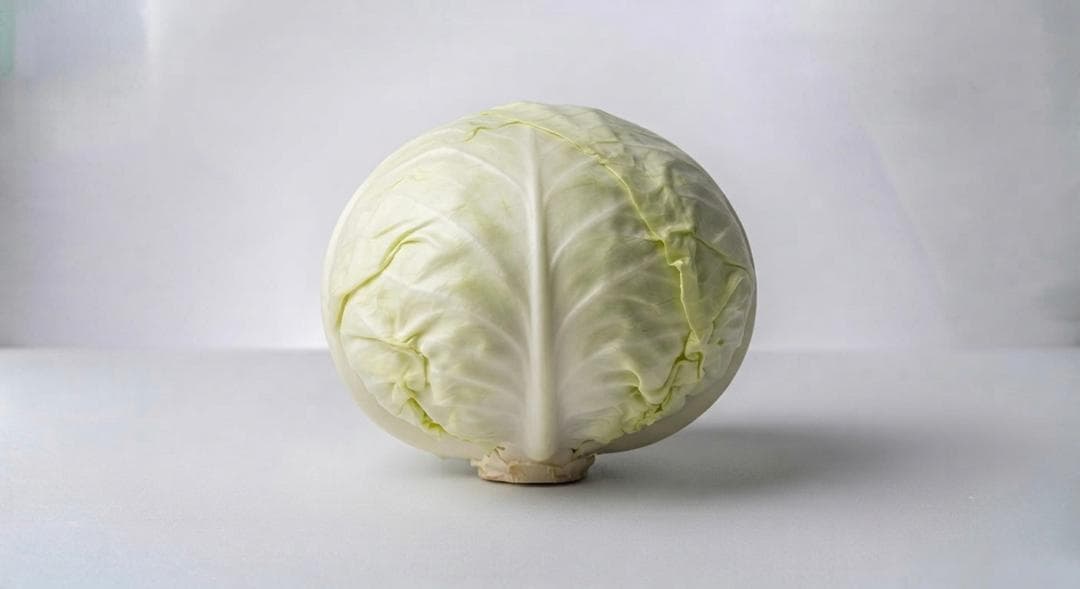 Repollo blanco