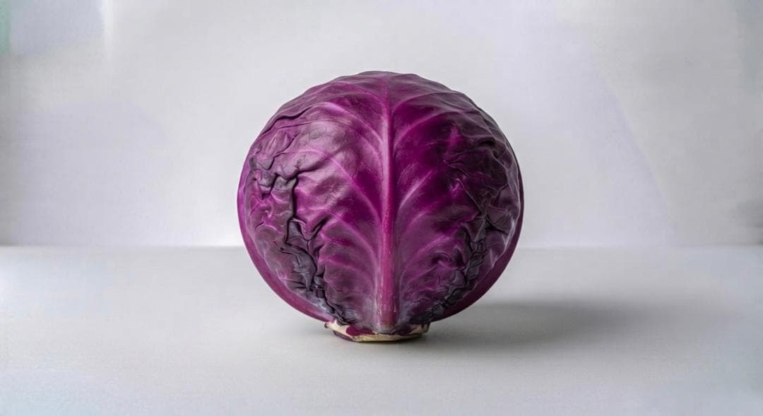 Repollo morado
